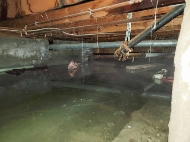 Best Commercial water damage restoration  in Mcminnville, OR