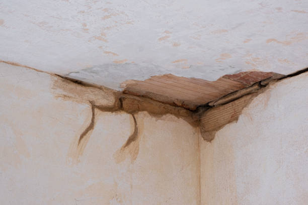 Best Water damage cleanup near me  in Mcminnville, OR