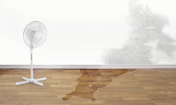 Best Water damage mitigation services  in Mcminnville, OR