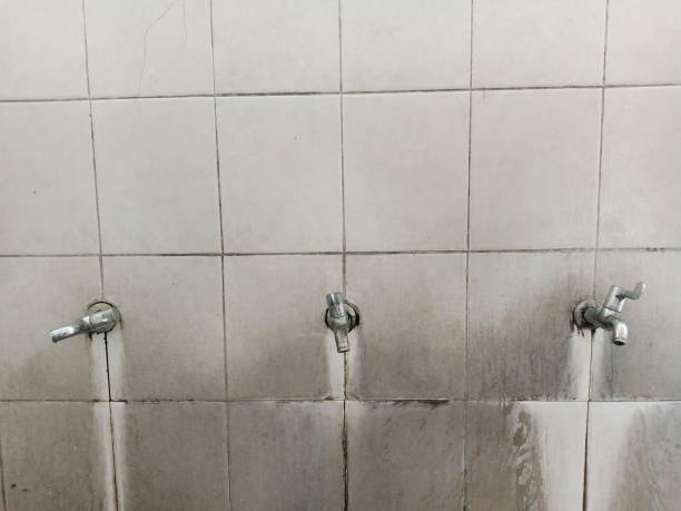 Best Flood damage cleanup  in Mcminnville, OR